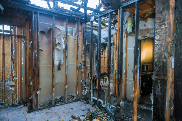 Professional Smoke Damage Removal technician working in Stratford, TX